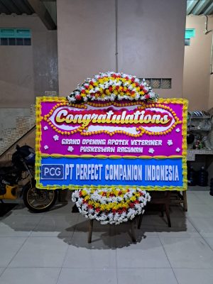 Bunga Papan Congratulations 01